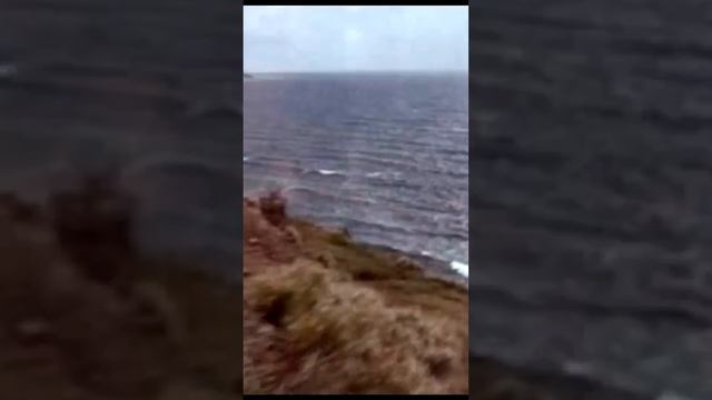 ТОП Фильмов в мире #кино #топ250 #лучшийфильм