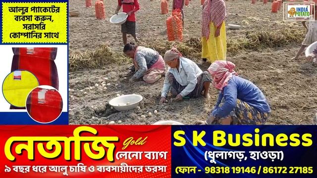 03/04/24 : ধূপগুড়ির আজকের আলুর দাম | উত্তরবঙ্গের জলপাইগুড়ি জেলার আলুর এক্সক্লুসিভ খবর смотреть онлайн