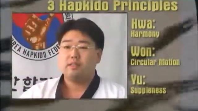 Что такое #Хапкидо, #KHF #Hapkido смотреть онлайн