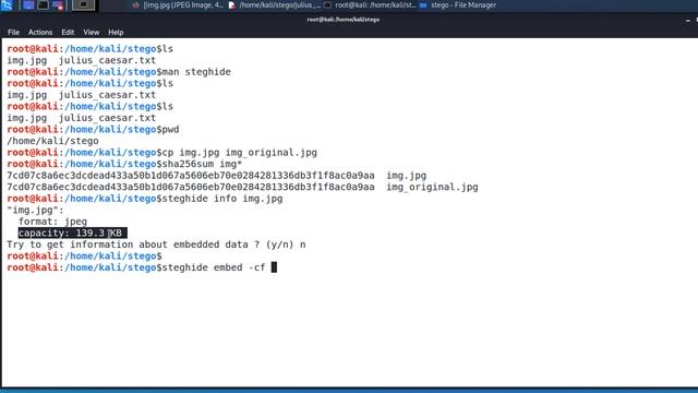 Hide Secret Messages Through Steganography with Steghide смотреть онлайн