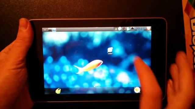Bodhi Linux ARMHF Alpha Image for Nexus 7 смотреть онлайн