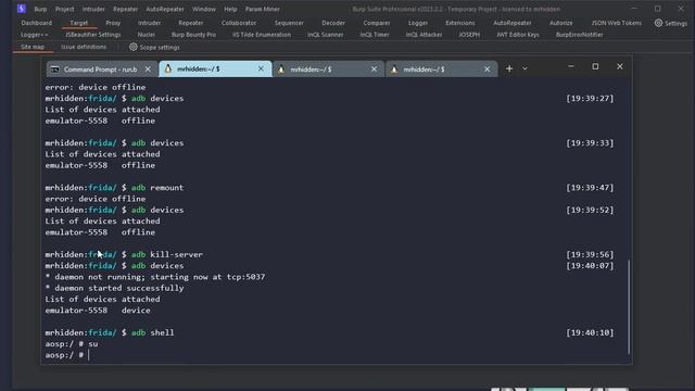 Configure LDPlayer and Burp Suite SSL Certificates смотреть онлайн