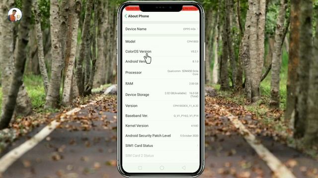 Oppo A3s Developer Option Settings / How To Enable Developer Option On Android. смотреть онлайн