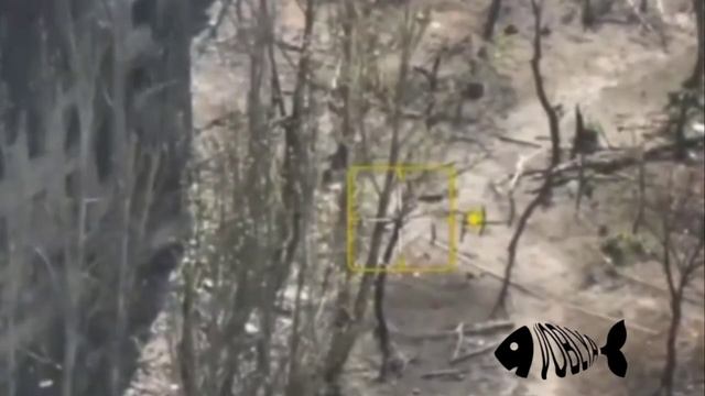 ⚡️СВО 18+ Российский военнослужащий с позывным «Фанат» на своих плечах вытаскивает раненого товарища смотреть онлайн