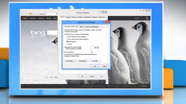 How to stop Internet Explorer® 10 from saving browsing history on Windows® 8 PC смотреть онлайн