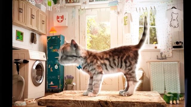 NEW LITTLE KITTEN ADVENTURE GAMEPLAY MOBILE LATEST UPDATE FREEPLAY IOS,ANDROID FOR KIDS смотреть онлайн