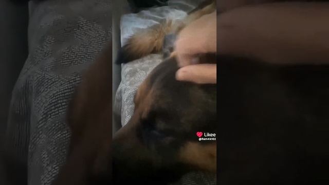 Дайте кислороду смотреть онлайн