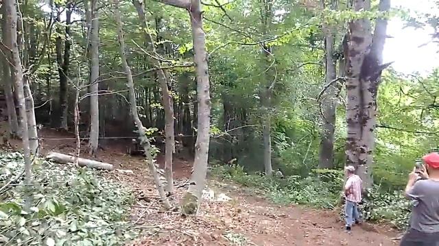 Ağaç Kesme Videosu смотреть онлайн