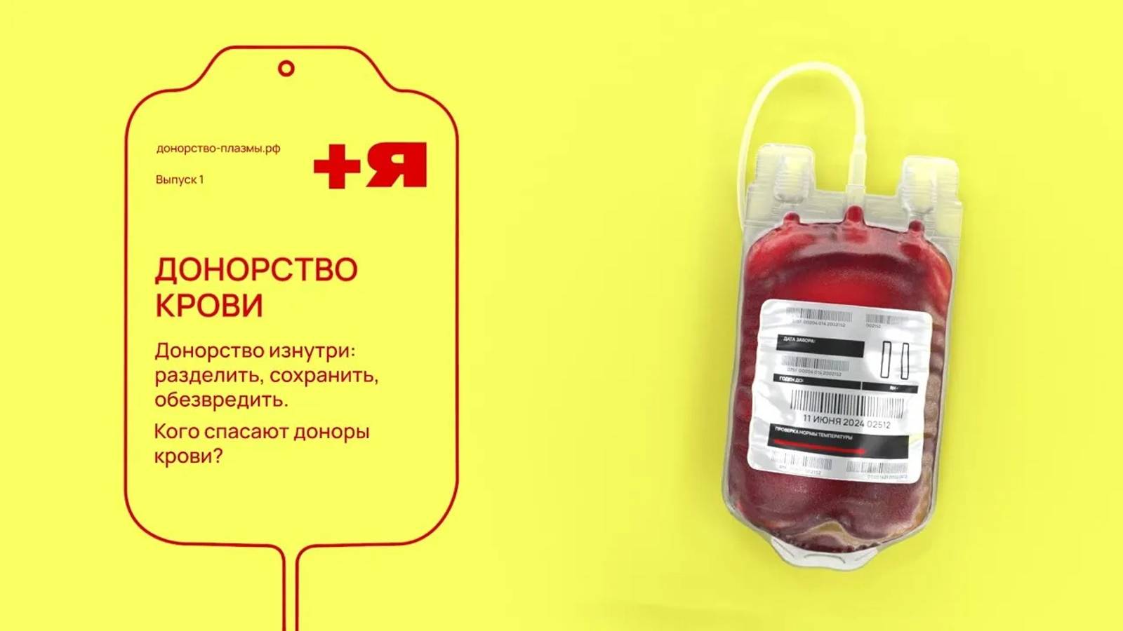 Быть донором. Выпуск 1: Донорство крови смотреть онлайн