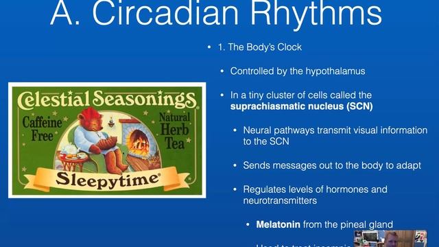 Chapter 5.1 Biological Rhythms смотреть онлайн
