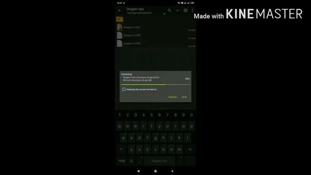 DOWNLOAD DRAGON RAJA FOR ANDROID смотреть онлайн
