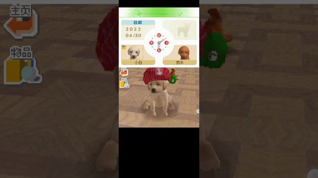 iQue dsi firmware running Nintendogs dsiware on MelonDS Android смотреть онлайн