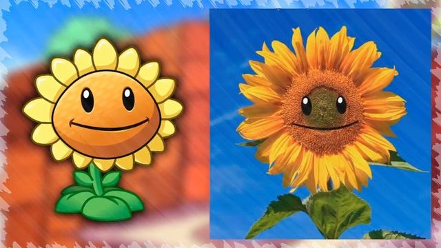 Plants vs. Zombies 2-What plants look like in Real life смотреть онлайн