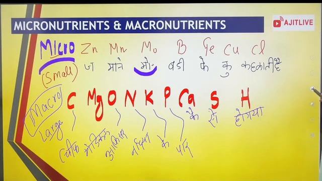 L2 - Basics of Life sciences смотреть онлайн