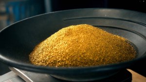 Золотая лихорадка 15 сезон в телеграмме https://t.me/PendostanPredstavlaet