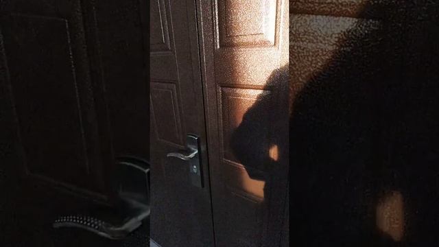 2549885 монтаж электромагнитного замка красноярск смотреть онлайн