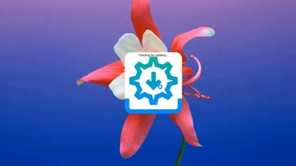 Sideloadly for iOS 15.3 & iPadOS 15.3 - Sideload IPA files ( Windows / Mac )