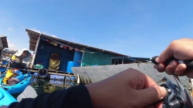 Pulau Ubin Kayak Fishing and Tour | Sparks | SGFishingRIgz смотреть онлайн