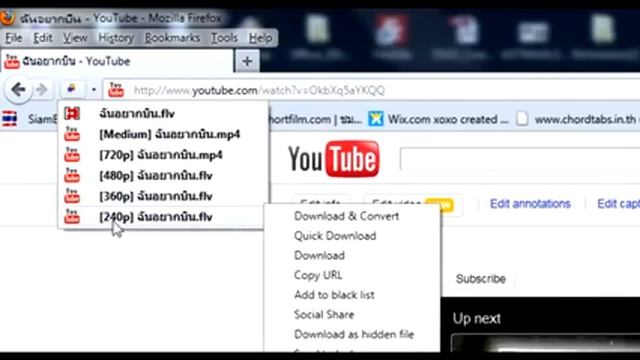 การDownload Youtube ด้วย Add ons FireFox Download Helper смотреть онлайн