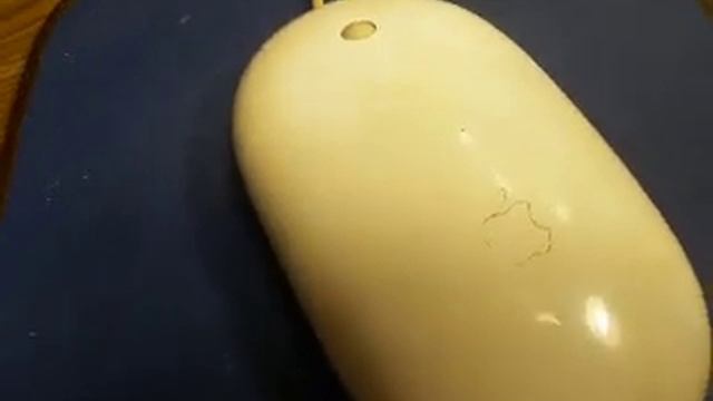 Apple Mighty Mouse Scrolling Problem? Easy Fix! смотреть онлайн