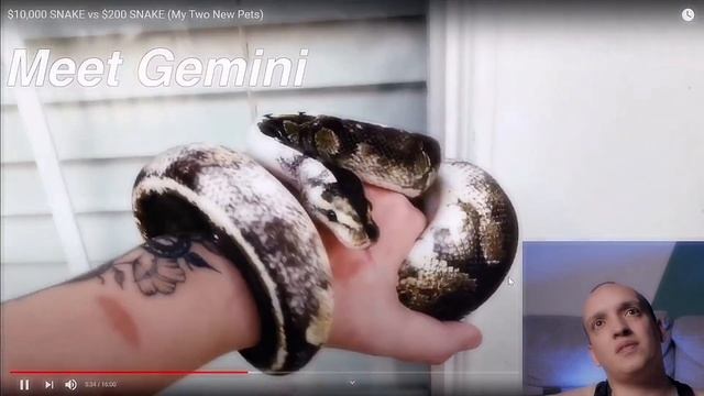 Your Favorite Reptile YouTubers !! смотреть онлайн