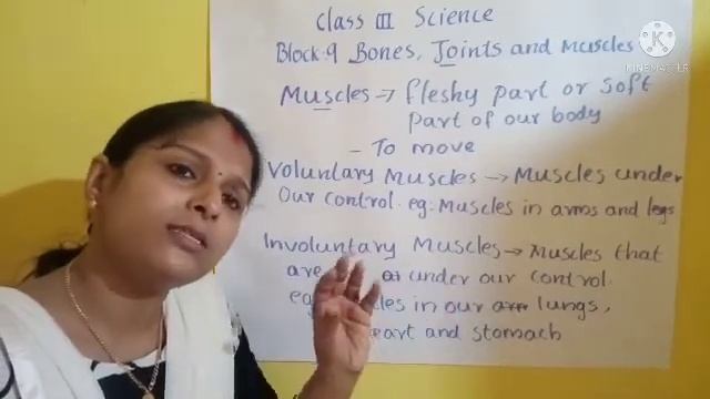 Class 3 Science Block-9 Bones, Joints and Muscles XSEED (Part-3) смотреть онлайн
