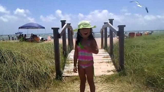 Pirate argh!! смотреть онлайн