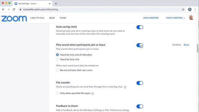 How To Configure Your Zoom Settings смотреть онлайн