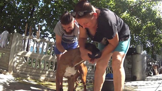 АЛЬФА 159 на Тест-Драйве (ХОХОЛ) смотреть онлайн