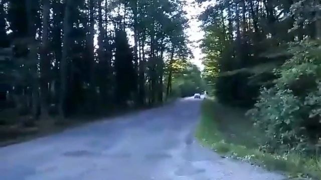 ALFA ROMEO 164 Top смотреть онлайн