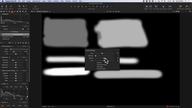 Capture One Pro Tips - Flow vs Opacity & Brush Control смотреть онлайн