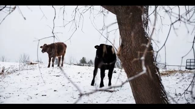 175th Anniversary of Paul Farm | Brockville, ON смотреть онлайн