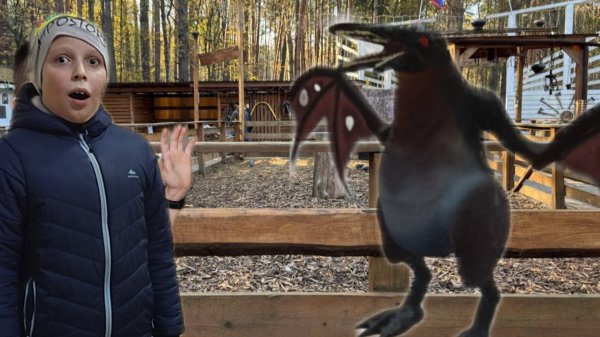 Что с зверем? ЗООЧОСИС | Zoochosis