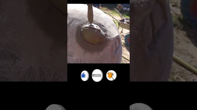 Лепим жука. Божья коровка. смотреть онлайн