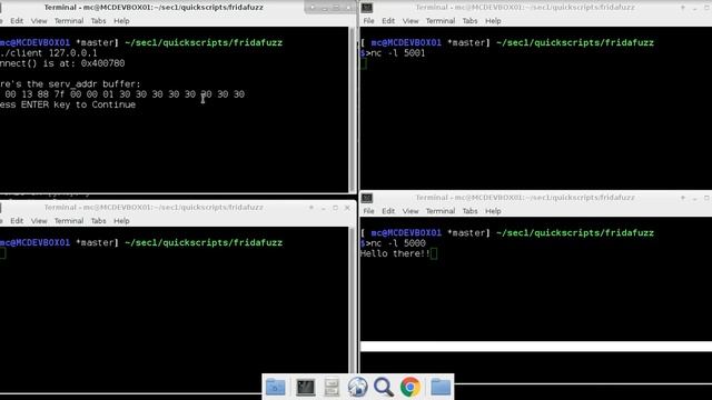 Frida Inject Network Struct into Running Process смотреть онлайн