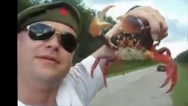 when the crabs come marching in смотреть онлайн