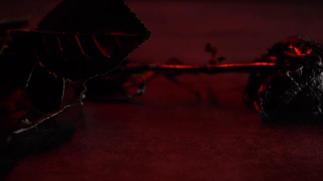 Parveez - Lonely смотреть онлайн