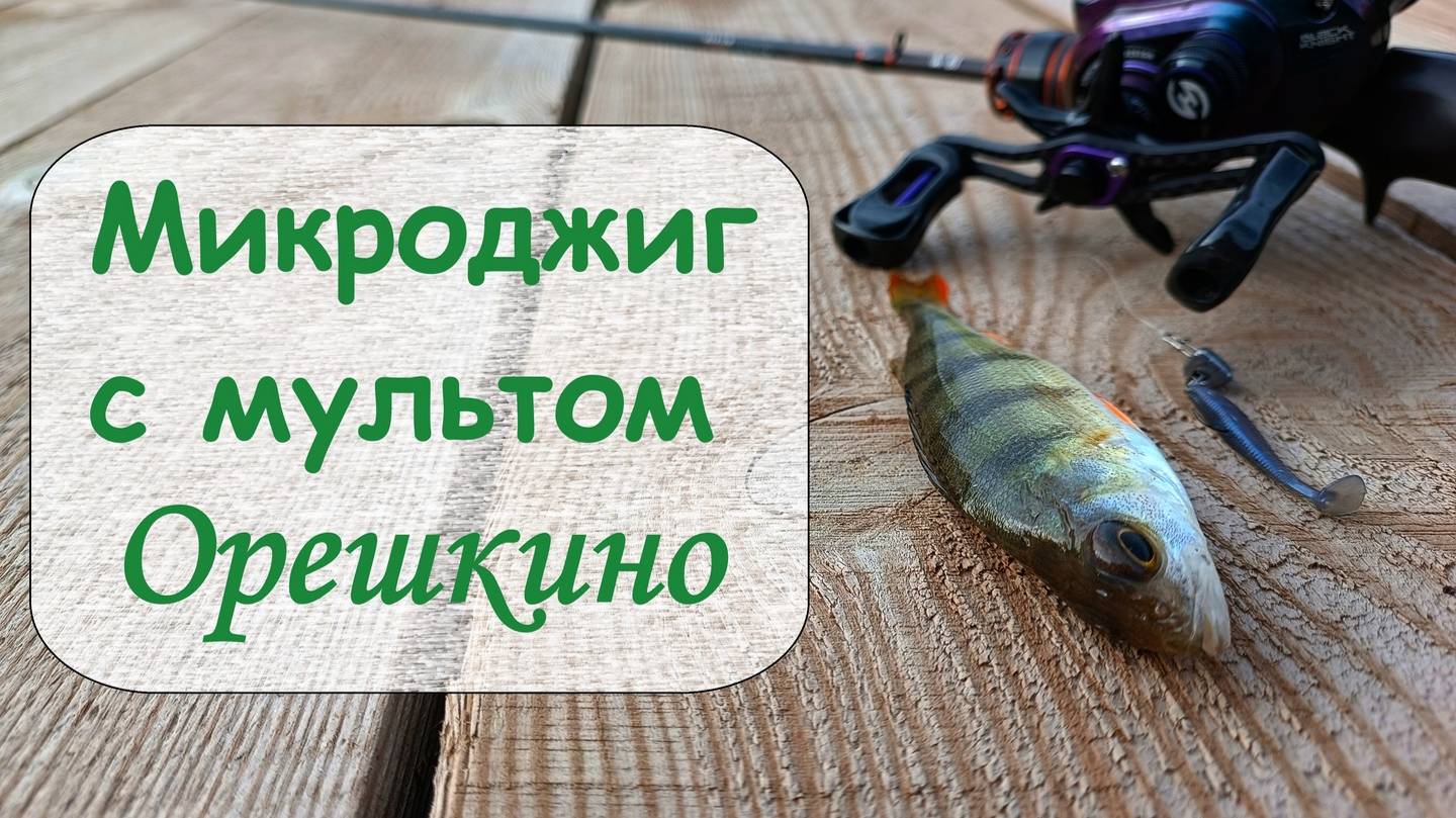 Микроджиг с мультом. Орешкино смотреть онлайн