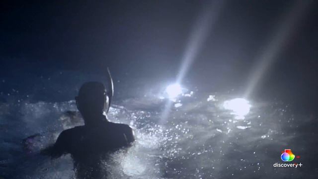 Night Diving with Mako Sharks | Dawn of the Monster Mako | discovery+ смотреть онлайн