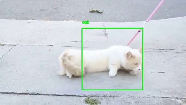 Object tracking with dlib (Demo #2) смотреть онлайн