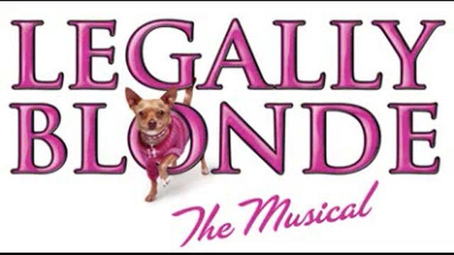 Legally Blonde - the Harvard variations смотреть онлайн
