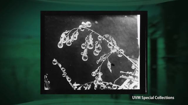 2/06/19 Understanding Snow Crystals: The Legacy of Wilson 'Snowflake' Bentley on Across the Fence смотреть онлайн