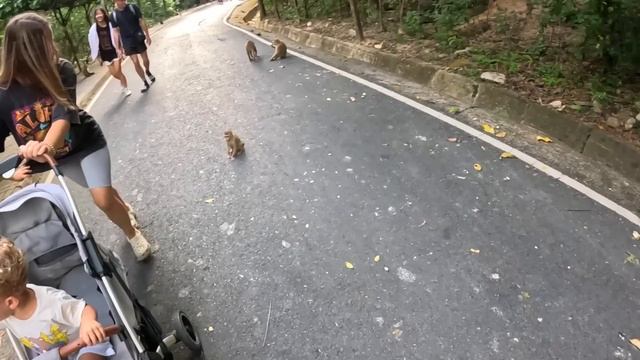 Анапа в Таиланде - Пхукет 2024 ЛОПАЕТСЯ ОТ ТУРИСТОВ. Пляж Ката, Равай бич, секретный пляж ГДЕ НИКОГО смотреть онлайн