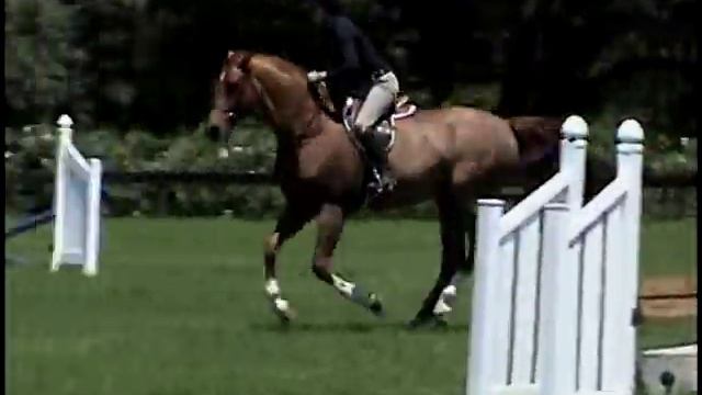Flic Flac (Horse For Sale) смотреть онлайн