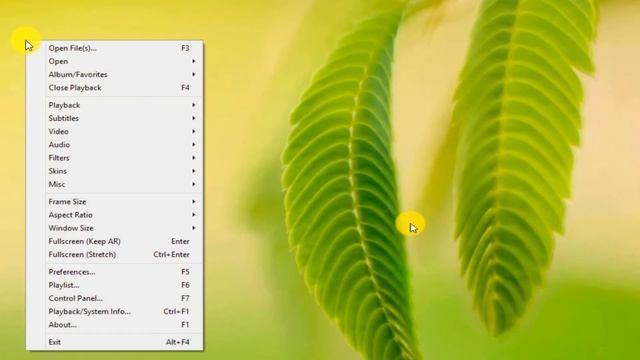How to add subtitles to a video file (MP4, AVI, WMV, MKV)| Using VideoProc смотреть онлайн