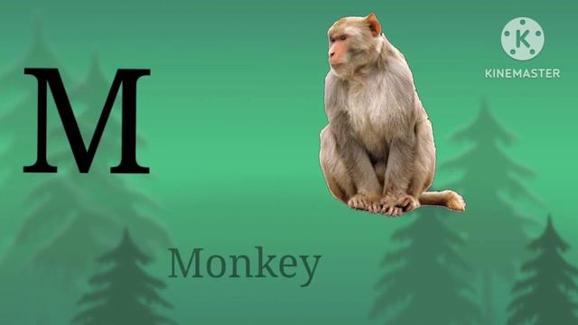 Abcd All Alphabets word Meaning|| A for Apple b for Ball смотреть онлайн