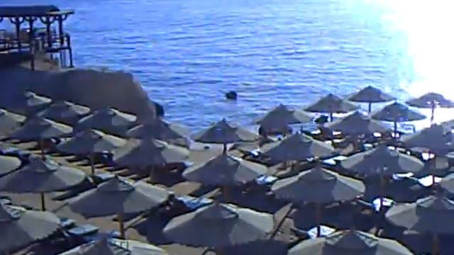 sharm maxi village смотреть онлайн