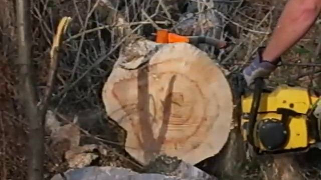 Mcculloch chainsaw Pro Mac 800 PM800 смотреть онлайн