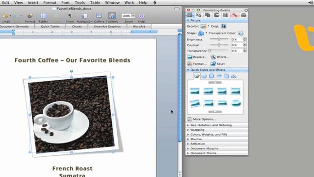 Office for Mac Tips - Utilize the Toolbox смотреть онлайн