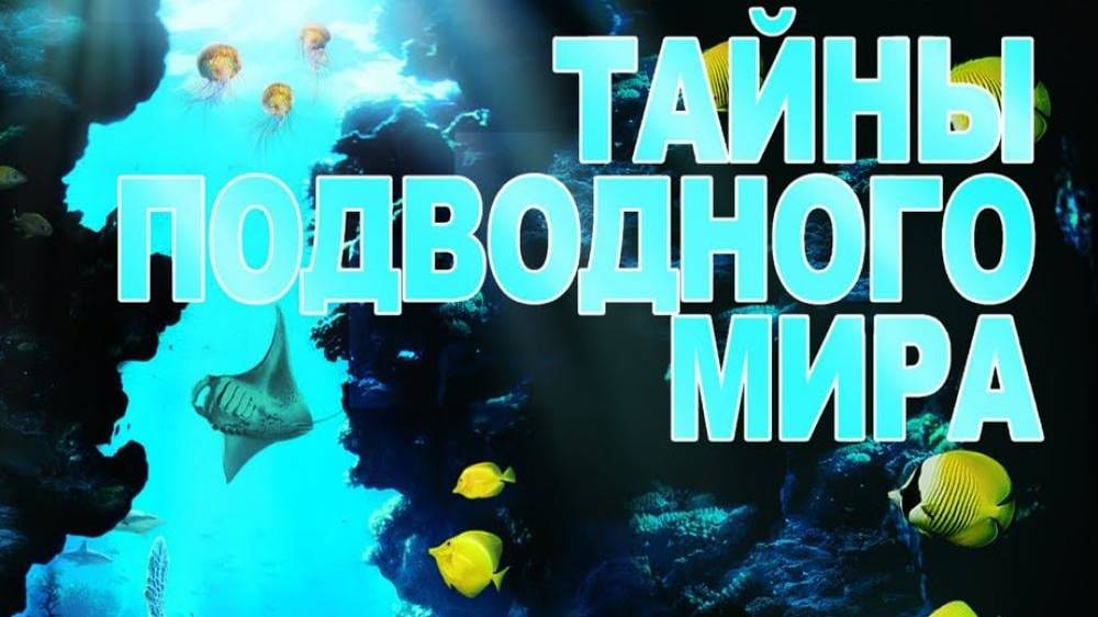 Тайны подводного мира смотреть онлайн